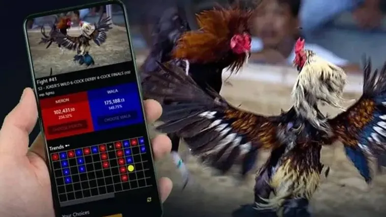 Đá Gà 98WIN Kịch Tính Thu Hút Hàng Triệu Người Chơi Mỗi Ngày