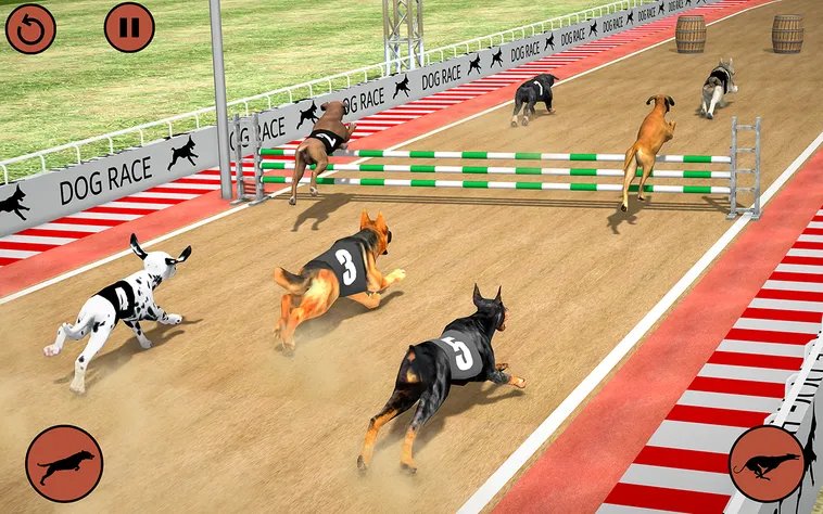Cách Chơi Game Nhanh Đua Chó Tại 98WIN Thắng Lớn