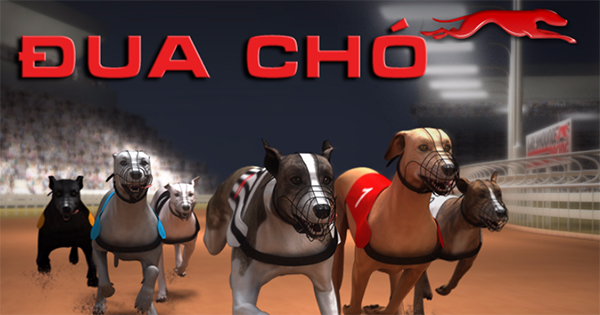 Cách Chơi Game Nhanh Đua Chó Tại 98WIN Thắng Lớn